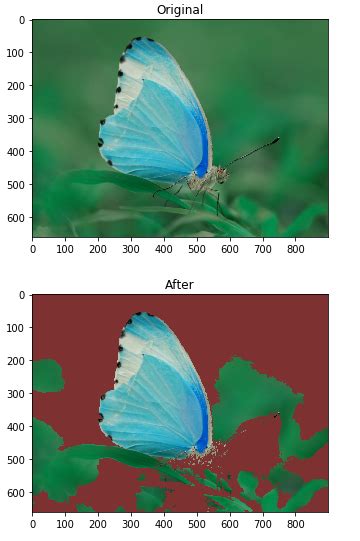 OpenCV Python Text Color 的图像结果