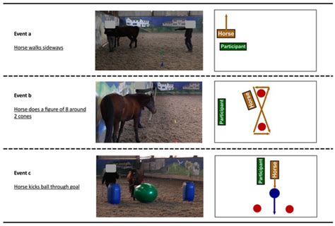 Animals | Special Issue : Animal Assisted Therapies and Interventions 2019