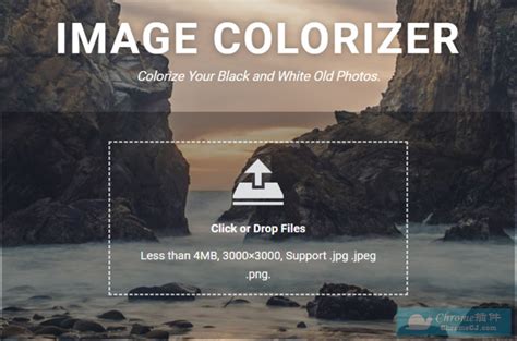 Picture Colorizer Pro(智能AI图像上色软件) V2.4.0 中文版下载_当下软件园