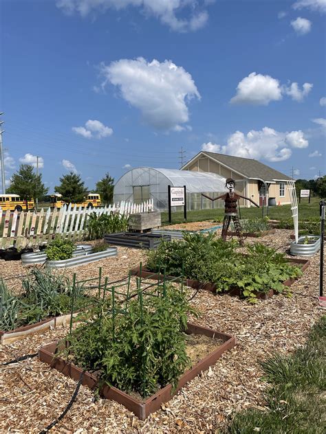 School Gardens – Westfield Green Together