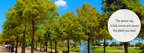 Local Plant Source 的图像结果