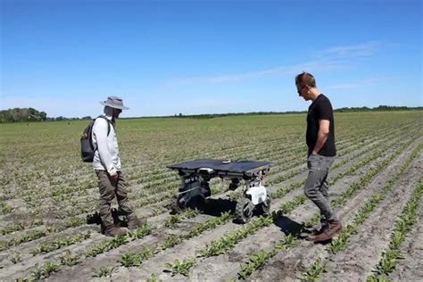 Farm Robots 的图像结果