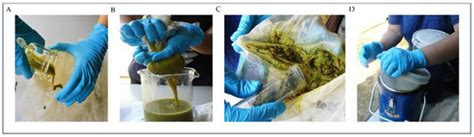Alterations in the Rumen Particle-Associated Microbiota of Goats in ...