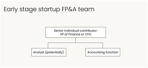How to design FP&A team structure (with examples)