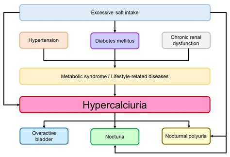 Relationship between Urinary Calcium Excretion and Lower Urinary Tract ...