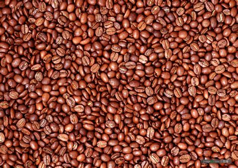 世界最好咖啡豆TOP10 榜单 | 咖啡奥秘