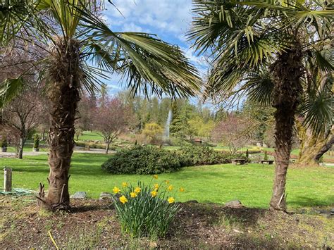 Blossoming Into Spring: Where to Find Your Garden Essentials in ...