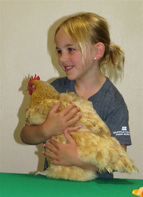 Buffalo County Fair in Kearney a combination of fun, work