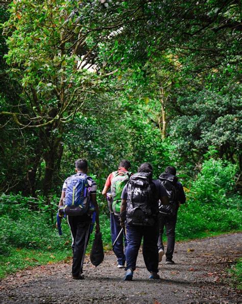 Outdoor Hiking 的图像结果