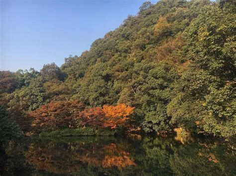 艺术与设计 - 杭州的秋冬，除了西湖，最棒的景色都在这里了！