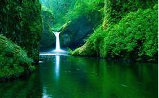 Hd Wallpapers Backgrounds by 1650 Green Hd Wallpapers Backgrounds Wallpaper Abyss Hd Wallpapers Backgrounds