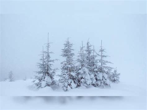 World's Coldest Places: Top Countries Where Temperature Drop Could Kill ...