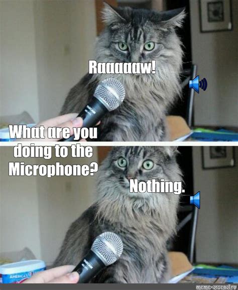 Microphone Interview Meme 的图像结果