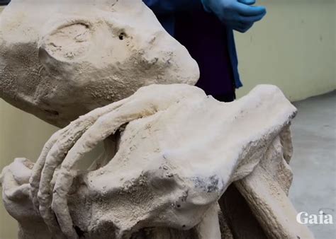 Alien Mummies 的图像结果