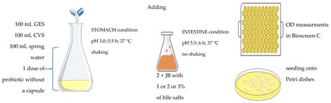 Effect of Simulated Gastrointestinal Tract Conditions on Survivability ...