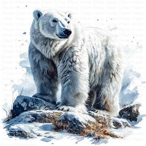 Polar Bear Clipart | 5 High Quality Jpgs | Digital Download | Nursery ...