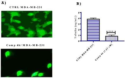 Design, Synthesis, In Vitro Biological Activity Evaluation and ...