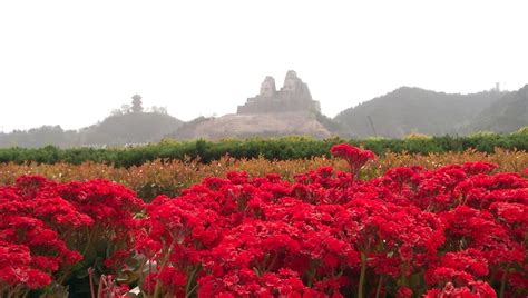 MING REN MING JIA INTERNATIONAL HOTEL (Zhengzhou) - Hotel Reviews ...