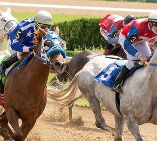 Jebel Ali Racecourse: Timing, Location, Reviews, and Insider Tips ...