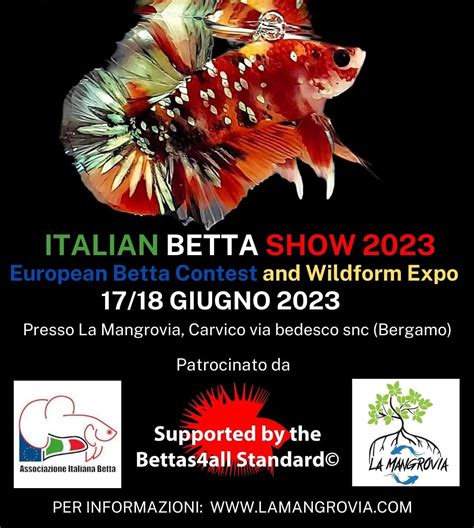 Feed 4 Fish Italian Betta Show Contest 2023 17/18 June - Carvico ...