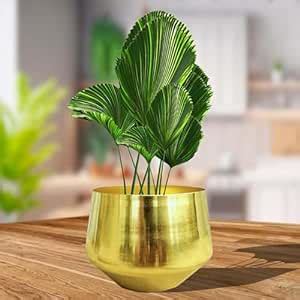 Metal Flower Pot Golden Color with draining Hole for Home decore Indoor ...