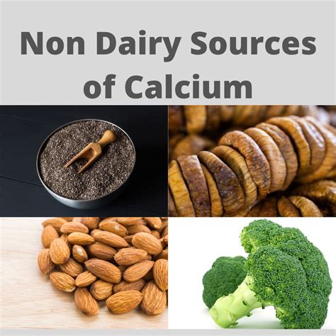 Calcium Non-Dairy Sources List at Freda Williams blog - non dairy sources of calcium