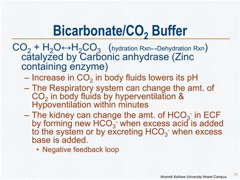 Acid-Base Homeostasis | PPTX