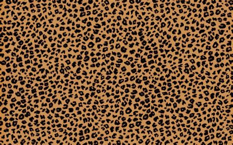 [100+] Cheetah Print Backgrounds | Wallpapers.com