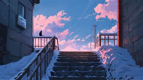 3840x2160 Cat Snow 4K ,HD 4k Wallpapers,Images,Backgrounds,Photos and ...