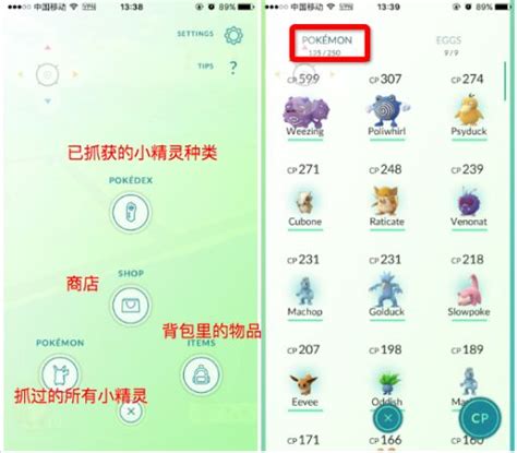 pokemon go官网版下载-pokemon go下载官网最新版v0.211.0-叶子猪游戏网