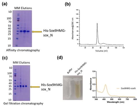 Flavin Adenine Dinucleotide (FAD) and Pyridoxal 5′-Phosphate (PLP) Bind ...