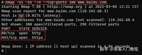 NetBox and Nmap 的图像结果