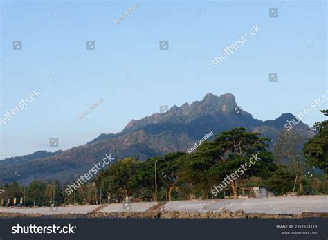 Tidur: Over 692 Royalty-Free Licensable Stock Photos | Shutterstock