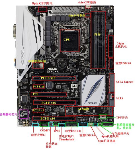 Venom RX H110M Intel LGA 1151 DDR4 Micro ATX