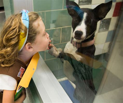 Explore Plano 2017 Featured Challenge: Plano Animal Shelter - Plano ...