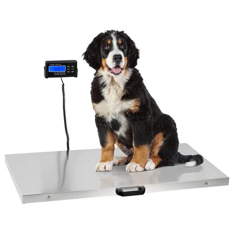 Snapklik.com : Dog Scale For Large Dogs, Vet Pet Scales, Digital Animal ...