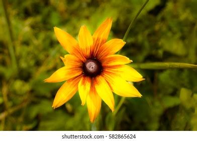 Image result for Basic Machine Learning Application Design Sample