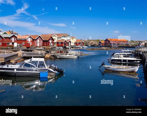 Image result for Duplicates in Python