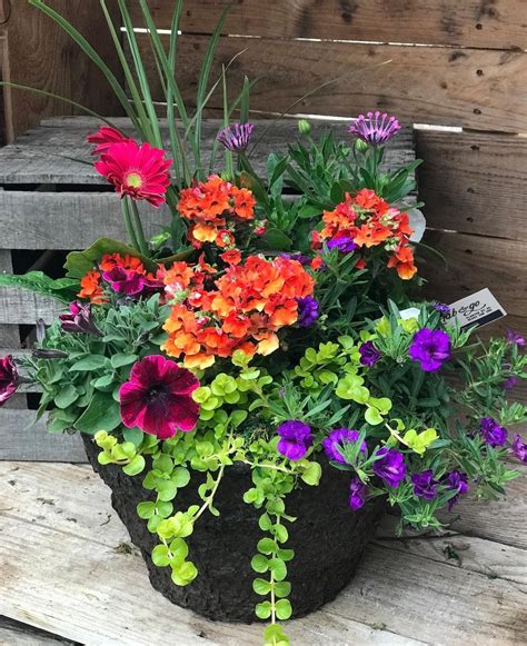 Outdoor Flower Pot Arrangement on Wooden Bench