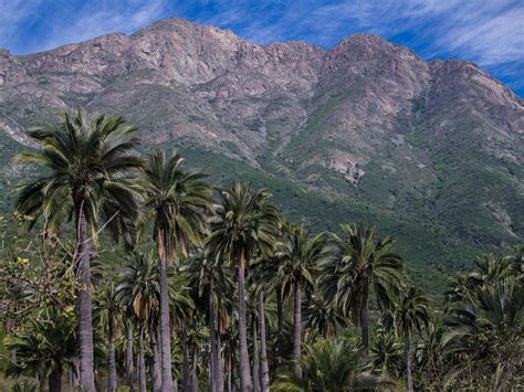 COIGUE EXPEDITIONS (2026) All You Need to Know BEFORE You Go (with ...