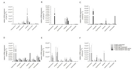 The Impact of Chronic Mild Stress and Agomelatine Treatment on the ...