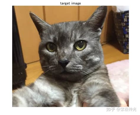 You’ll likely move on in 47 seconds. Can I hold your attention a little longer? | CNN