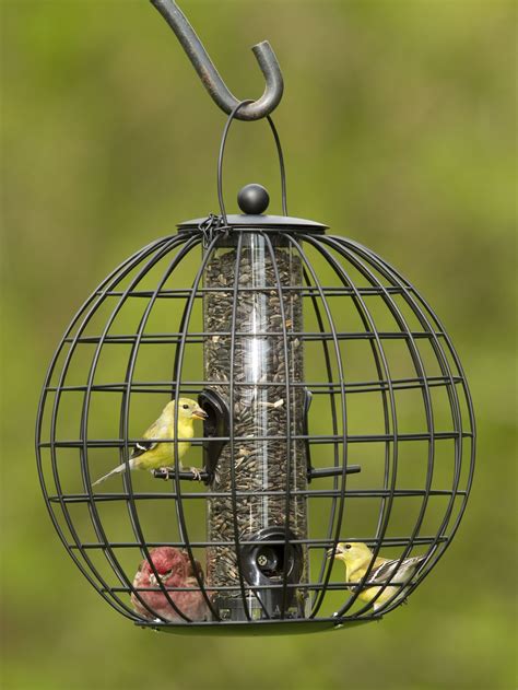 Mixed Seed Globe Cage Feeder | Bird feeders, Humming bird feeders ...