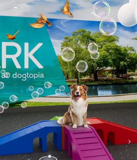 Image result for How to Download Dogtopia Java