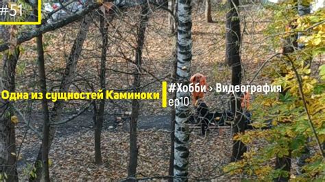 306`19 » Хроника наблюдения на хобби-фронте Каминоки - YouTube