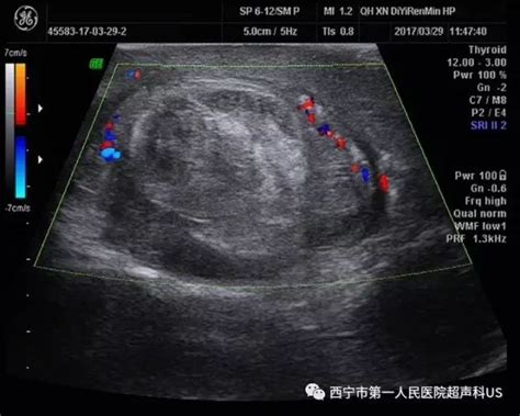 Image result for Why Using Sales Scripts Is Important