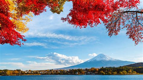 日本自由行最新旅游攻略-富士山箱根一日游特色行程推荐_河口