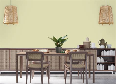 Minimal Green | JSW Paints