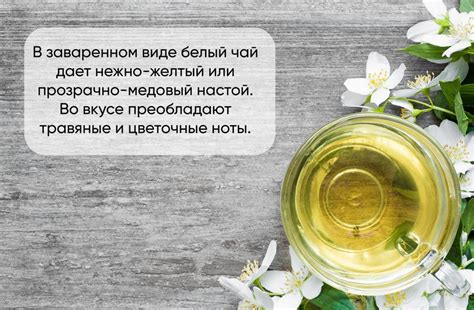 Белый чай: полезные свойства, вред и польза, способы заваривания и ...