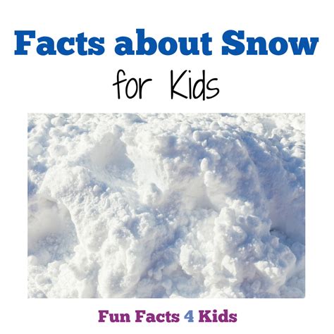 Fun Facts about Snow for Kids – Fun Facts 4 Kids